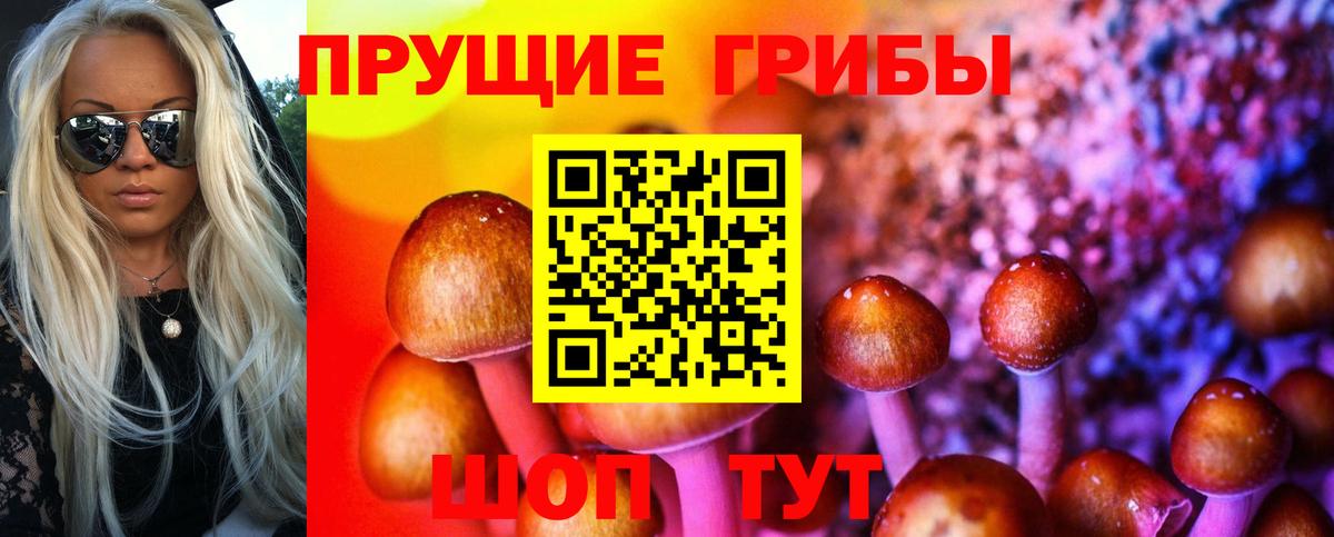 Галлюциногенные грибы Magic Shrooms  Вход с VPN  Артём  Галлюциногенные грибы Magic Shrooms 