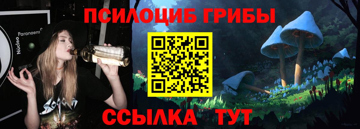 Псилоцибиновые грибы Cubensis Артём